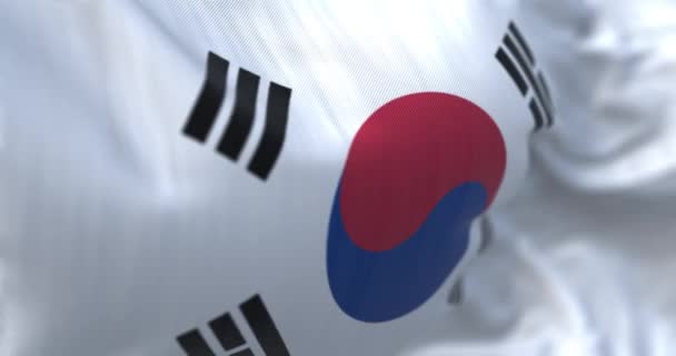 韓国国旗が手を振っている 旗は中央に赤と青のTaegeukを持つ白いフィールドです 生地の質感の背景 選択的フォーカス 現実的な3Dレンダリング スローモーションループ — ストック動画