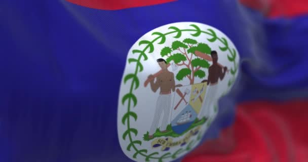伯利兹国旗在风中飘扬的近景 伯利兹是中美洲的一个独立国家 面料纹理背景 有选择的重点 现实的3D渲染 慢动作回路 — 图库视频影像