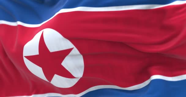 北朝鮮国旗手の詳細ページ 大韓民国は東アジアの国です フリップルテクスチャ生地 選択的フォーカス 現実的な3Dレンダリング スローモーションループ — ストック動画