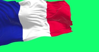Fransa ulusal bayrağı yeşil arka planda izole bir şekilde dalgalanıyor. Fransa Cumhuriyeti, Batı Avrupa 'da bir ülkedir. Gerçekçi 3D canlandırma. Yeşil ekran mat ve krom anahtar. Yavaş çekim döngüsü