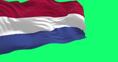 The national flag of the Netherlands waving in the wind isolated on a green background. Flag with red, white, and blue stripes. Realistic 3D render. Green screen matte and chroma key. Slow motion loop