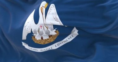 Close-up of the Louisiana state flag. Blue flag, white pelican and motto, center. US state. Rippled fabric. Textured background. Selective focus on the Pelican. Realistic 3D render. Slow motion loop