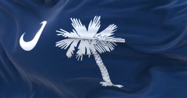 Close South Carolina State Flag Blue Field White Palmetto Tree — Vídeo de stock