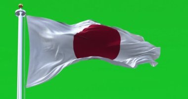 Japan national flag waving isolated on a green background. Red disc on a white field. Japan is an island country in East Asia. Realistic 3D render. Green screen matte and chroma key. Slow motion loop