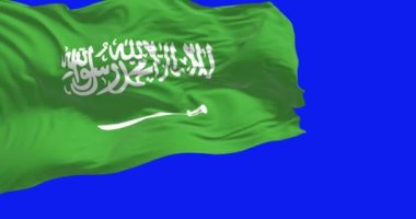 Saudi Arabia national flag waving isolated on a blue background. Green field with Shahada and sword in Thuluth script. Rippled fabric. 3D render. Blue screen matte and chroma key. Slow motion loop