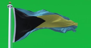 Bahamas national flag waving isolated on a green background. Black triangle on hoist, aquamarine-gold-aquamarine horizontal bands. 3D render. Green screen matte and chroma key. Slow motion loop