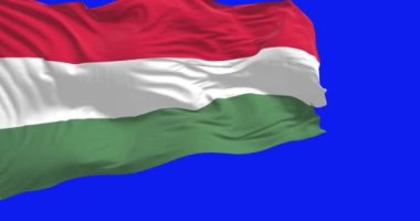 Hungary national flag waving isolated on a blue background. Hungary is a landlocked country in Central Europe. Rippled fabric. 3D render. Blue screen matte and chroma key. Slow motion loop. Close up