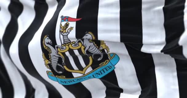 Newcastle May 2022 Newcastle United Flag Waving Professional English Football — Stockvideo