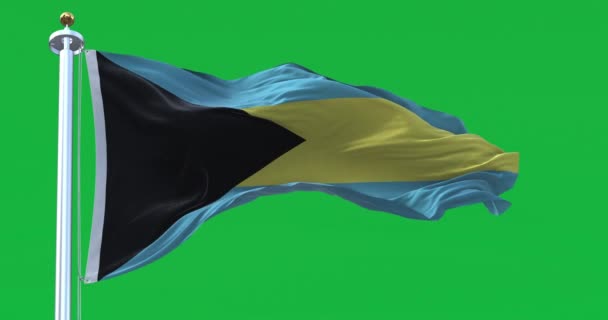 Bahamas National Flag Waving Isolated Green Background Black Triangle Hoist — Video Stock