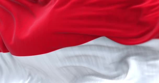 風に揺れるインドネシア国旗 インドネシア共和国は東南アジアの国です 接近中だ 選択的フォーカス リップル生地 現実的な3Dレンダリング スローモーションループ — ストック動画