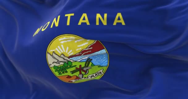 Pandangan Perspektif Dari Bendera Negara Bagian Montana Melambai Bendera Biru — Stok Video