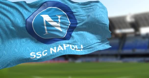 Naples Jan 2023 Ssc Napoli Flag Waving Diego Armando Maradona — Vídeos de Stock
