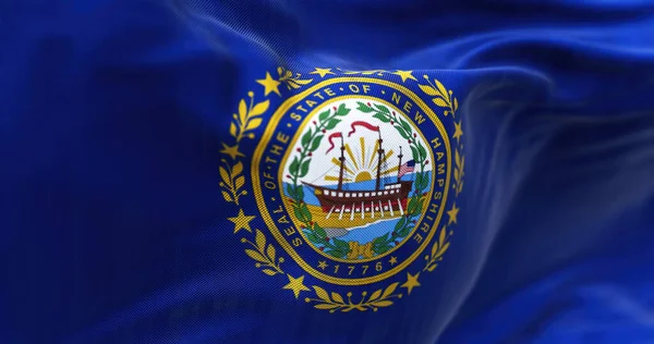 Detail of New Hampshire state flag waving. New Hampshire is a state in the New England region of United States. US state flag. Rippled fabric. Textured background. Realistic 3d illustration. Close-up