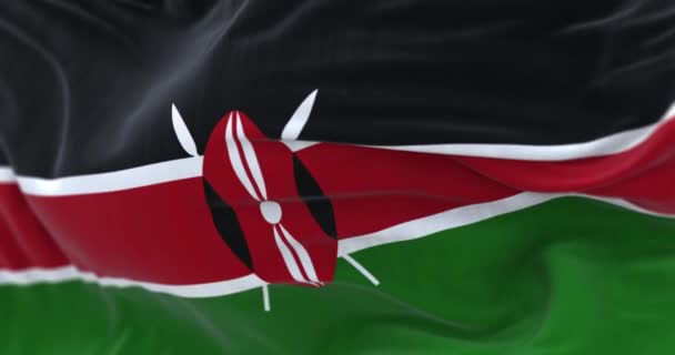 Detail Kenya National Flag Waving Black Red Green White Maasai — Αρχείο Βίντεο