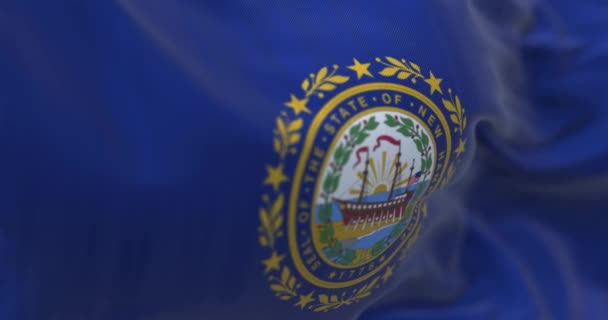 Detail New Hampshire State Flag Waving New Hampshire State New — Vídeo de stock