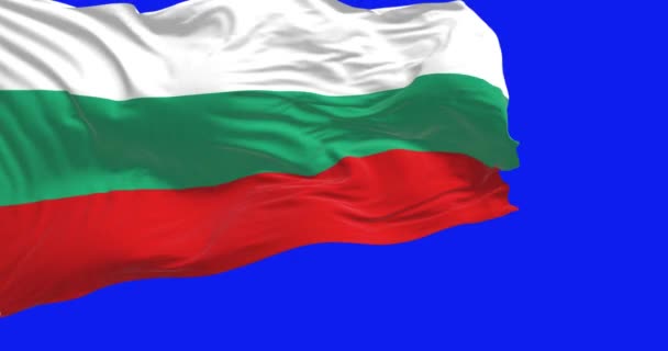 Bulgaria National Flag Waving Wind Isolated Blue Background Bulgaria Flag — Stockvideo