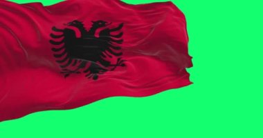 Close-up view of the Albanian national flag waving isolated on a green background. Red flag with black two-headed eagle. 3D render animation. Green screen matte. Chroma key. Slow motion loop