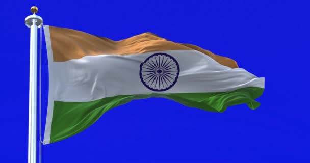 Индийский Национальный Флаг Размахивающий Изолированным Синем Фоне Республика Индия Является — стоковое видео