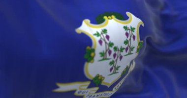 Connecticut eyalet bayrağının dalgalanma detayları. Mavi arka planda beyaz kalkan. Her biri üzüm demeti taşıyan üç üzüm var. Seçici odaklanma. 3 boyutlu görüntüleme. Yavaş çekim döngüsü. Yakın plan.