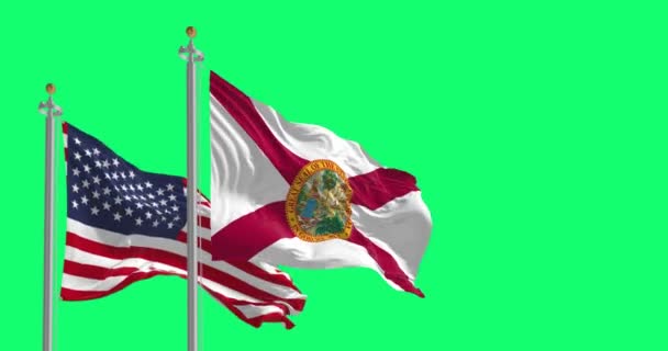 Прапор Штату Флорида Який Розмахує Національним Прапором Сполучених Штатів Америки — стокове відео