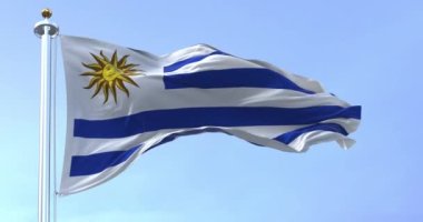 Güneşli bir günde Uruguay ulusal bayrağı rüzgarda dalgalanıyor. 9 yatay çizgi: beyaz ve mavi alternatif, Sol de Mayo ise beyaz karede. 3D canlandırma canlandırması. Yavaş çekim döngüsü. Yakın plan.