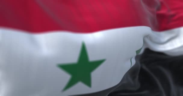 Détail Drapeau National Syrien Agitant Horizontal Tricolore Rouge Blanc Noir — Video