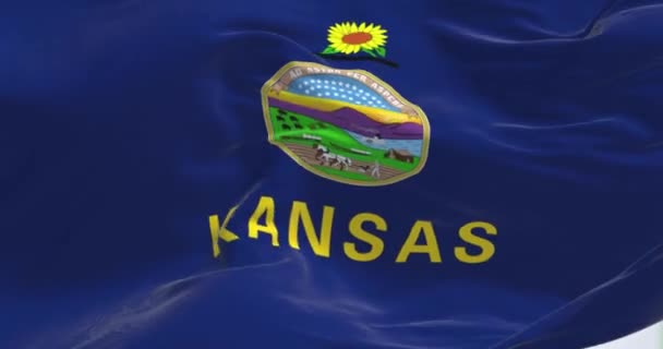 Närbild Kansas Statliga Flagga Viftar Vinden Kansas Delstat Mellanvästern Rippat — Stockvideo