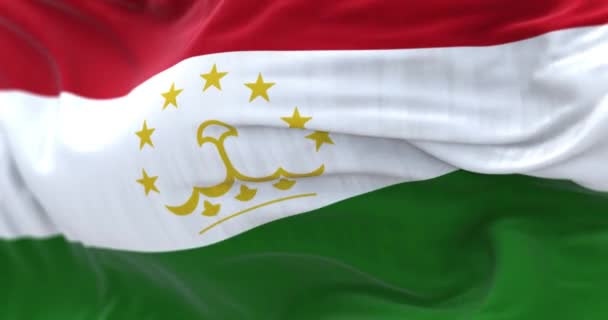 塔吉克斯坦国旗飘扬的细节 绿条纹 中央有皇冠 有七颗星 有选择的重点 3D渲染动画 慢动作回圈四 后续行动 — 图库视频影像