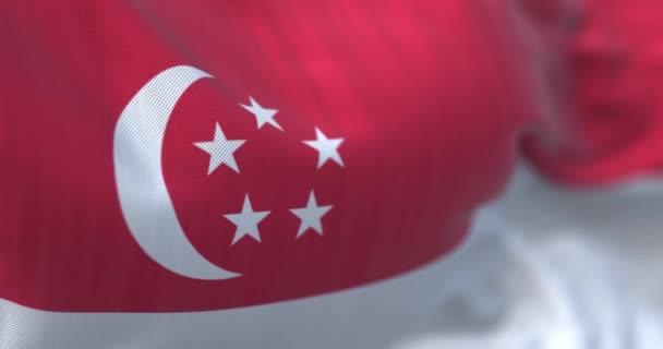 Деталь Размахивания Флагом Сингапура Красно Белые Полосы Полумесяц Пятиугольником Пяти — стоковое видео