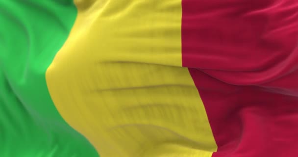 風になびくマリ国旗の詳細 垂直三色 汎アフリカ色 および赤 選択的フォーカス 3Dレンダリングアニメーション スローモーションループ — ストック動画