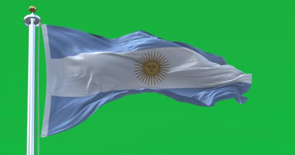 Argentinsk Flagga Fladdrar Isolerad Grön Bakgrund Tre Lika Blå Och — Stockvideo