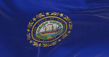 Detail of New Hampshire state flag waving. New Hampshire state seal on a dark blue field. US state flag. Rippled fabric. 3d render animation. Close-up. Textured background