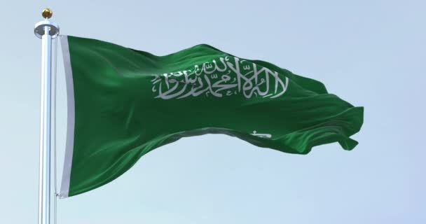 Saudi Arabia National Flag Waving Wind Clear Day Green Field — Video Stock