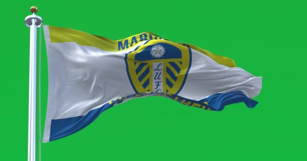 Leeds Oct 2022 Leeds United Flag Waving Isolated Green Background — Vídeo de stock