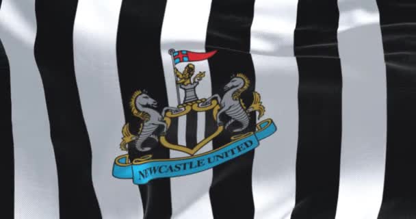 Newcastle Jan 2023 Fabric Background Newcastle United Flag Waving Render — Video Stock