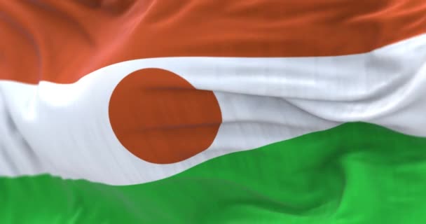 Nigeri Nemzeti Zászlólobogás Részletei Narancs Fehér Zöld Csíkok Narancssárga Koronggal — Stock videók