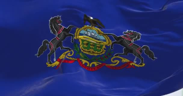 ペンシルベニア州旗が風に揺れるのを間近で見た 中央に腕のペンシルベニア州のコートと青い旗 3Dレンダリングアニメーション スローモーションループ 接近中だ 織物の背景 — ストック動画