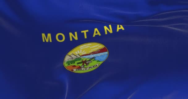 Close Bendera Negara Bagian Montana Melambai Bendera Biru Dengan Lambang — Stok Video