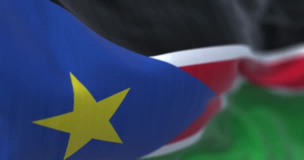 南スーダンの旗を振っての詳細 青の三角形に黒 緑の縞模様と金の星 3Dレンダリングアニメーション 選択的フォーカス スローモーションループ 接近中だ 織物の背景 — ストック動画