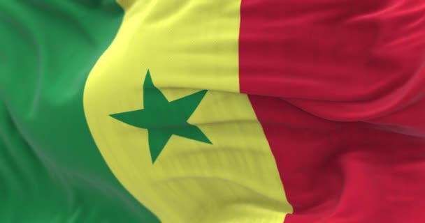 Detail Senegal Flag Waving Tricolor Vertical Bands Pan African Colors — стоковое видео