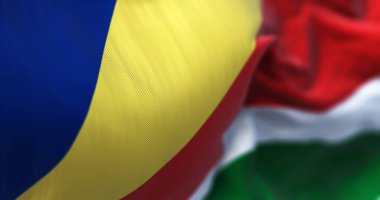 Close-up view of the Seychelles national flag waving in the wind. Five oblique bands of blue, yellow, red, white and green. Selective focus. 3d illustration render. Close-up.