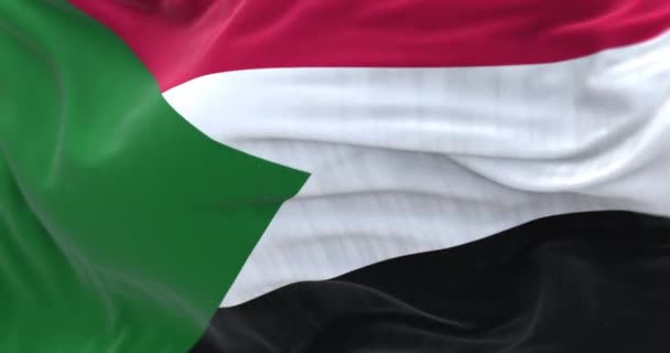 详细的苏丹国旗飘扬 黑色条纹与绿色三角形在提升机 3D渲染动画 有选择的重点 慢动作回圈特写 纹理面料背景 — 图库视频影像