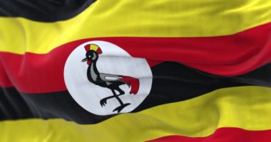 Uganda ulusal bayrağı dalgalanıyor. Yatay çizgiler siyah, sarı ve kırmızı. Beyaz disk ve gri taçlı bir vinç. 3D canlandırma canlandırması. Seçici odaklanma. Yavaş çekim döngüsü. Yakın plan..