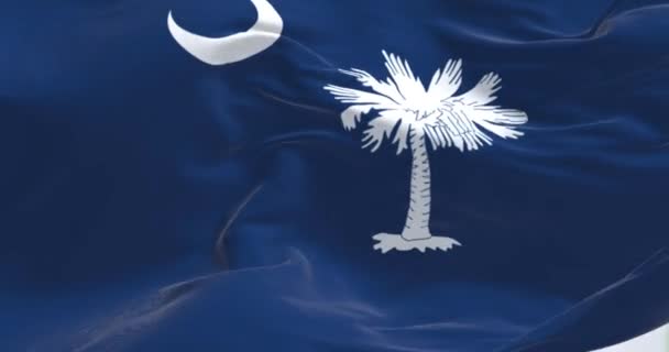Detalle Bandera Del Estado Carolina Del Sur Ondeando Campo Azul — Vídeo de stock