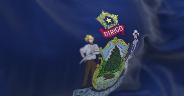 Detal Flagi Maine Macha Herb Niebieskim Polu Łosią Farmerem Marynarzem — Wideo stockowe