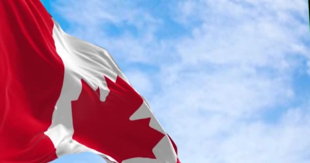 Государственный Флаг Канады Размахивает Ясный День Белый Квадрат Центре Красный — стоковое видео
