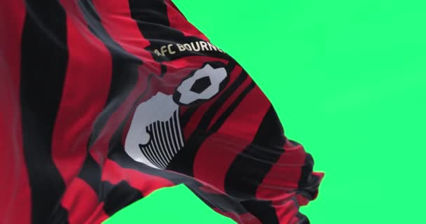 Bournemouth Οκτώβριος 2022 Σημαία Του Afc Bournemouth Που Κυματίζει Απομονωμένη — Αρχείο Βίντεο