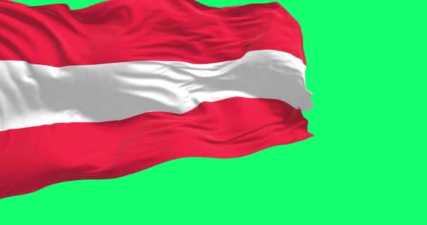 緑の背景に隔離されたオーストリアの旗 3つの等しい水平バンド シームレスな3Dレンダリングアニメーション 緑色のスクリーンマット アルファチャンネル クロマキー スローモーションループ — ストック動画