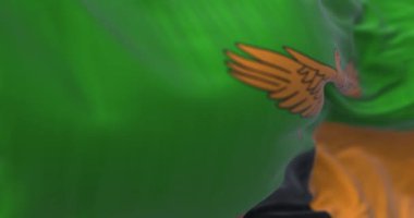 Zambiya ulusal bayrağı dalgalanıyor. Kırmızı, siyah ve turuncu renkli üç dikey şeritten oluşan bir bloğun üzerinde turuncu kartal olan yeşil. Kusursuz 3 boyutlu animasyon. Seçici odaklanma. Yavaş çekim döngüsü. Yakın plan..