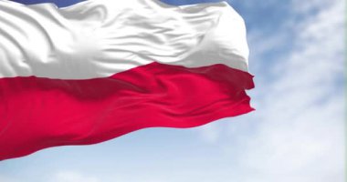 Polonya 'nın ulusal bayrağı açık bir günde rüzgarda sallanıyor. Eşit genişlikte iki yatay çizgi: üstte beyaz ve altta kırmızı. 3D canlandırma canlandırması. Ağır çekim. Kusursuz döngü. Seçici odak
